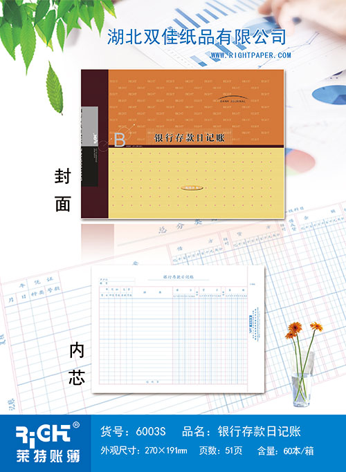 6003S--銀行存款日記賬